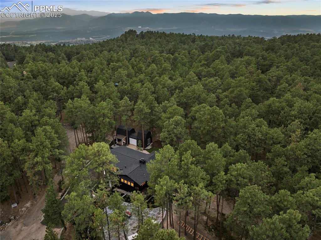 1320 Spring Valley Drive Colorado Springs, CO 80921 - Photo 46 of 46 a view of a forest with a mountain in the background