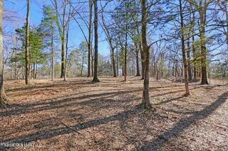Northside Drive Clinton, MS 39056 - Photo 6 of 10 Northside-Drive-07