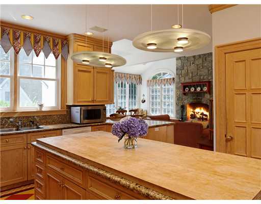 37 Hillside Road Greenwich, CT 06830 - Photo 16 of 18 a kitchen with stainless steel appliances granite countertop a sink dishwasher and a fireplace with wooden floor