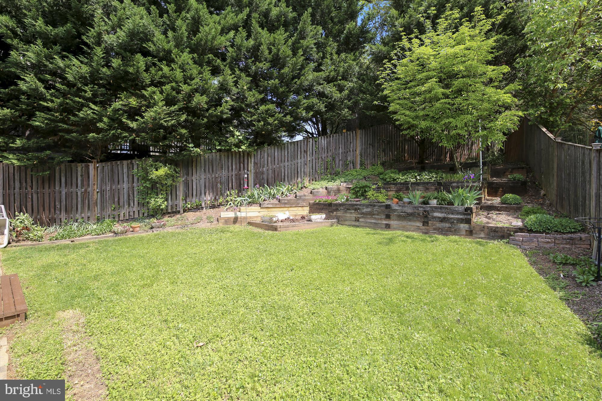 10109 Meredith Avenue Silver Spring, MD 20910 - Photo 27 of 28 Rear Yard
