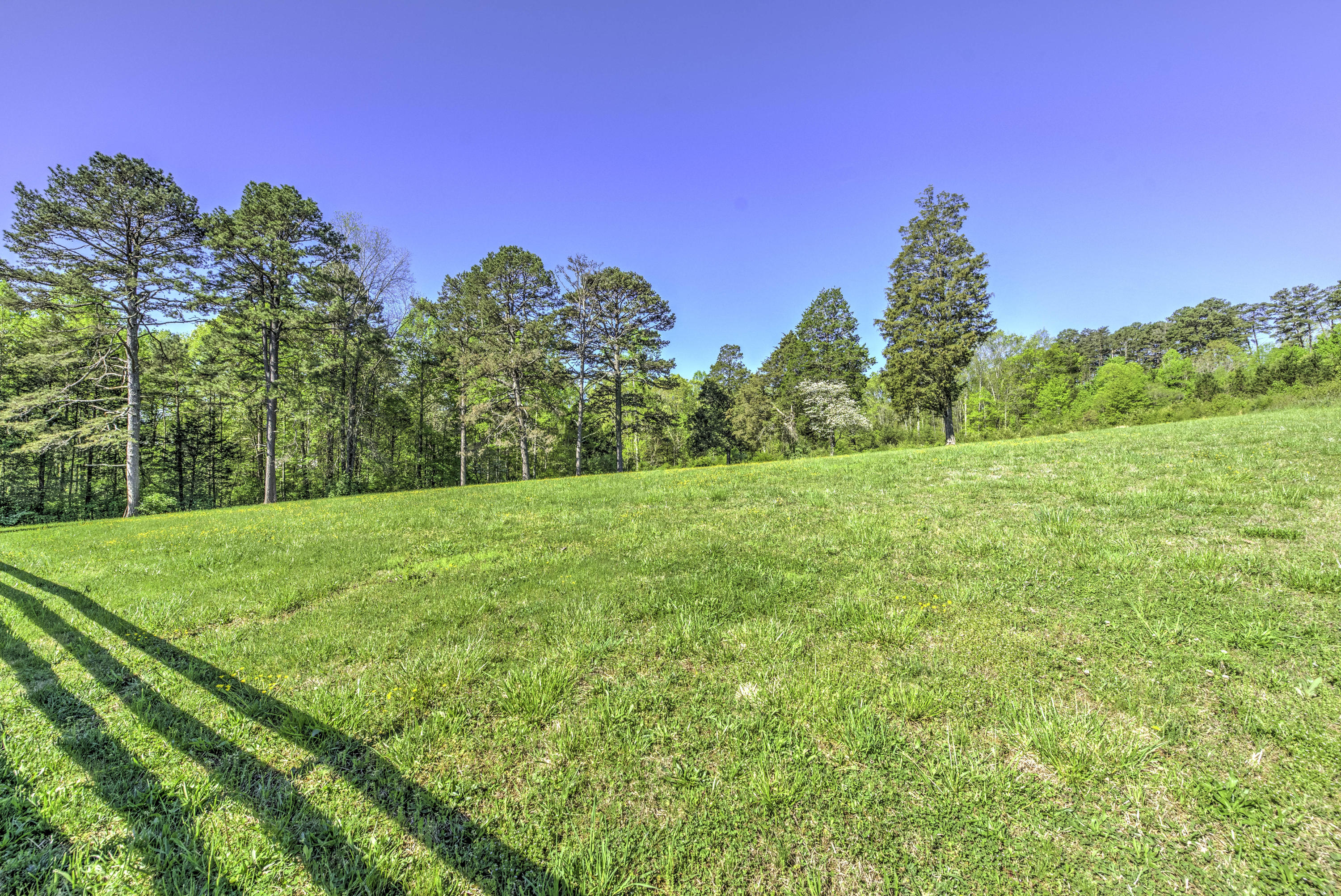 5733 Maloneyville Road Corryton, TN 37721 - Photo 14 of 40 DSC_1749_50_51_52_53
