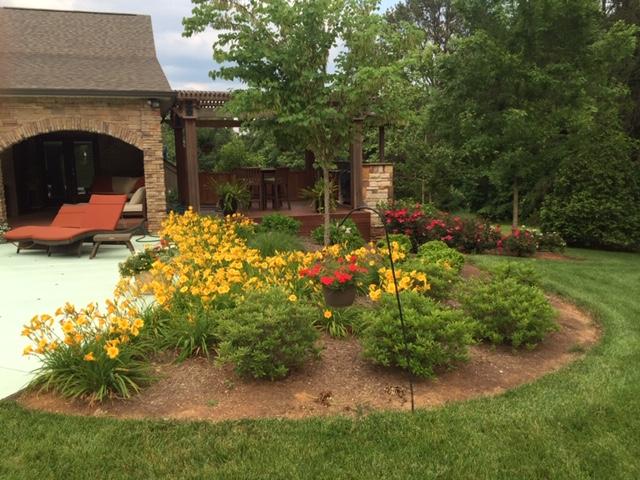 5733 Maloneyville Road Corryton, TN 37721 - Photo 17 of 40 Privacy Abounds