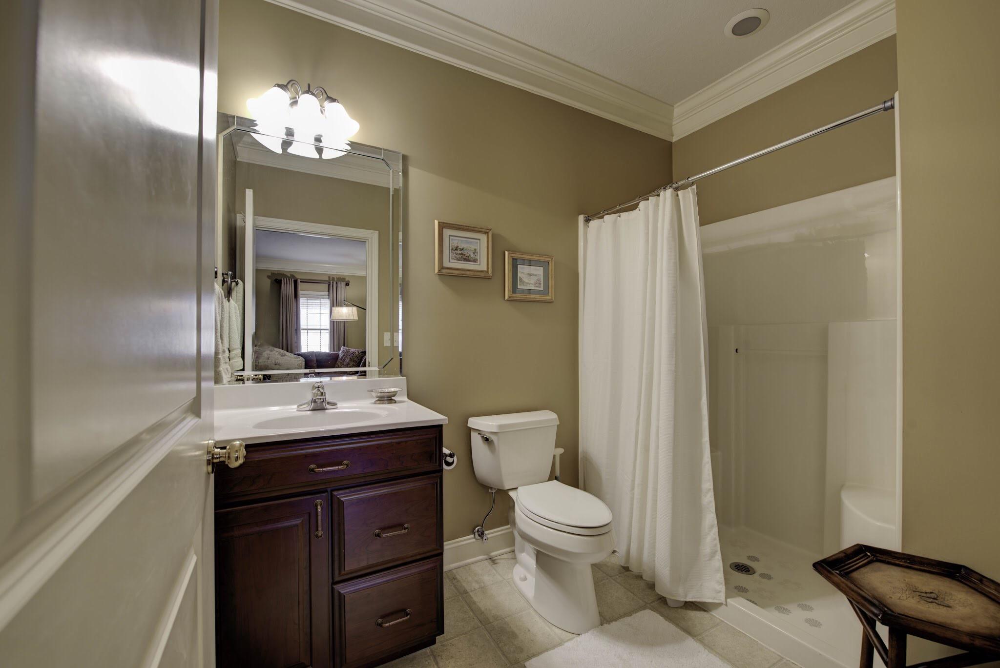 5733 Maloneyville Road Corryton, TN 37721 - Photo 29 of 40 2nd master suite bath
