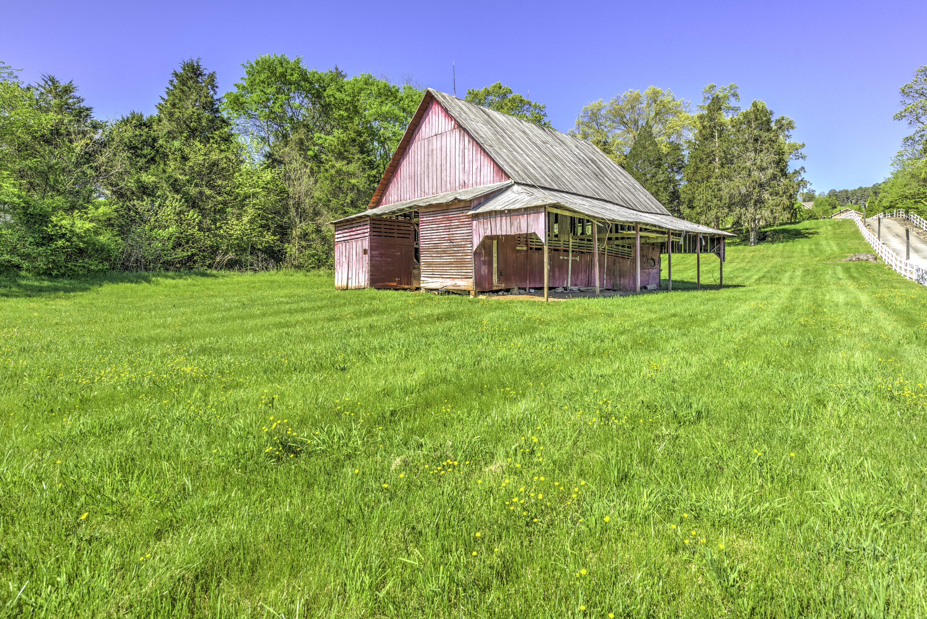 5733 Maloneyville Road Corryton, TN 37721 - Photo 38 of 40 DSC_1779_80_81_82_83