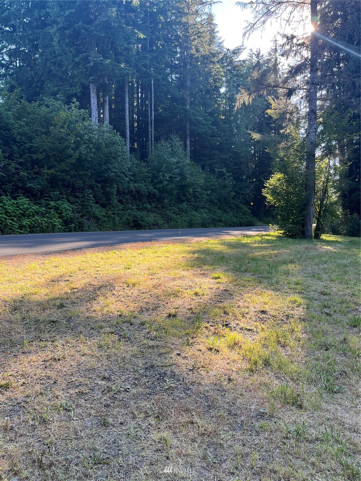 197 South Valley Road Naselle, WA 98638 - Photo 3 of 14 Gallery Image 3