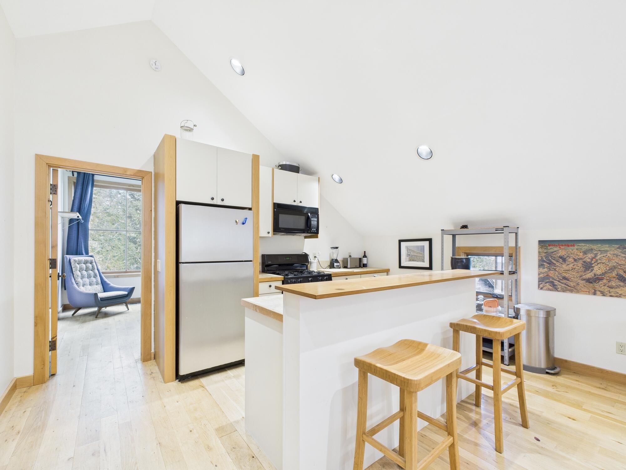 95 Freedom Loop Blaine County, ID 83313 - Photo 44 of 70 Apartment Kitchen