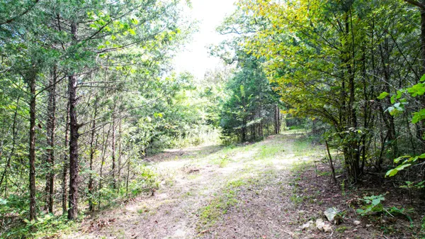 $198,000 | 25.09 Byrds Chapel Drive, Rising Fawn, GA 30738