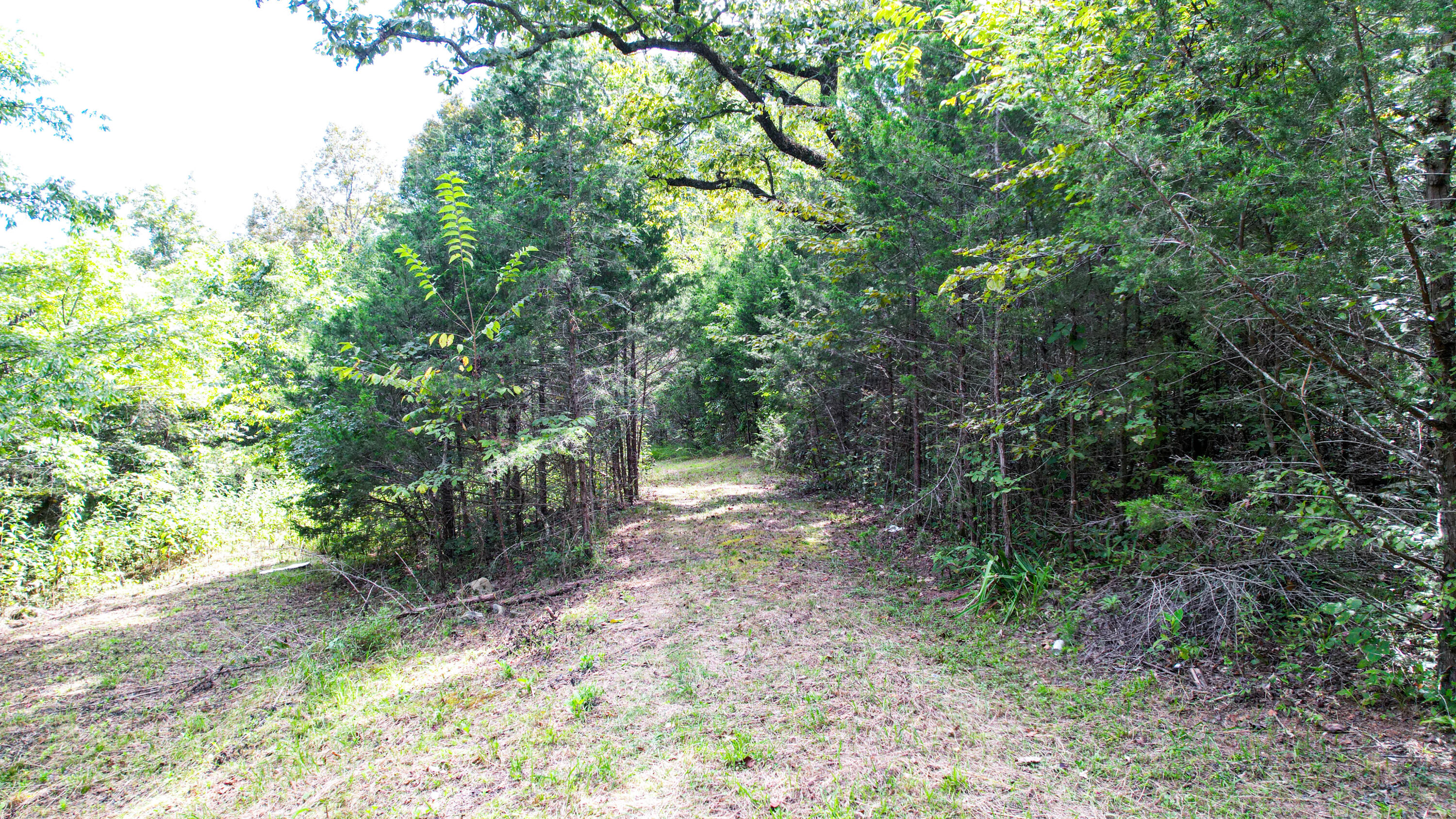 25.09 Byrds Chapel Drive Rising Fawn, GA 30738 - Photo 12 of 21 DJI_0437