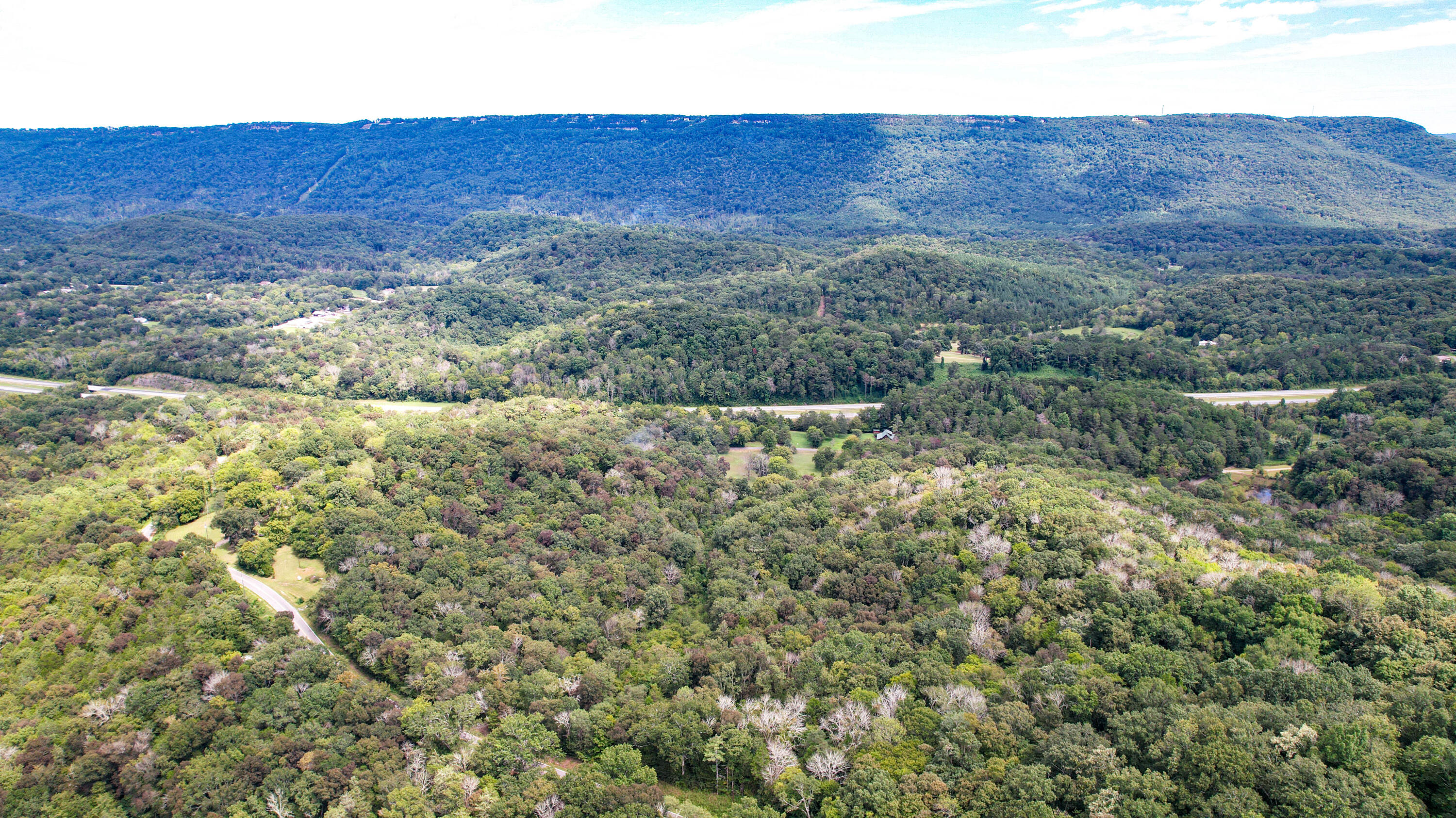 25.09 Byrds Chapel Drive Rising Fawn, GA 30738 - Photo 16 of 21 DJI_0430
