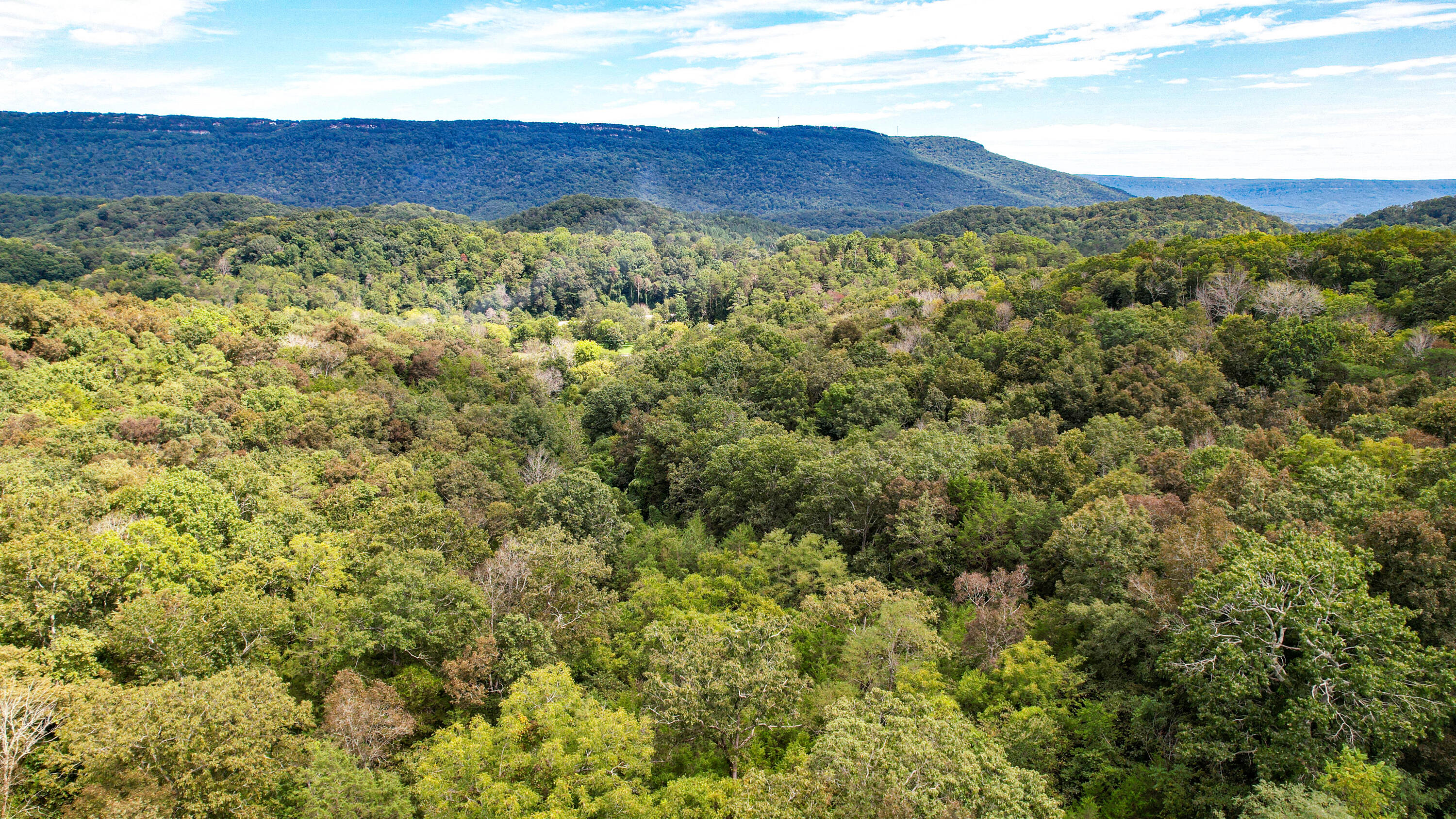25.09 Byrds Chapel Drive Rising Fawn, GA 30738 - Photo 21 of 21 DJI_0435