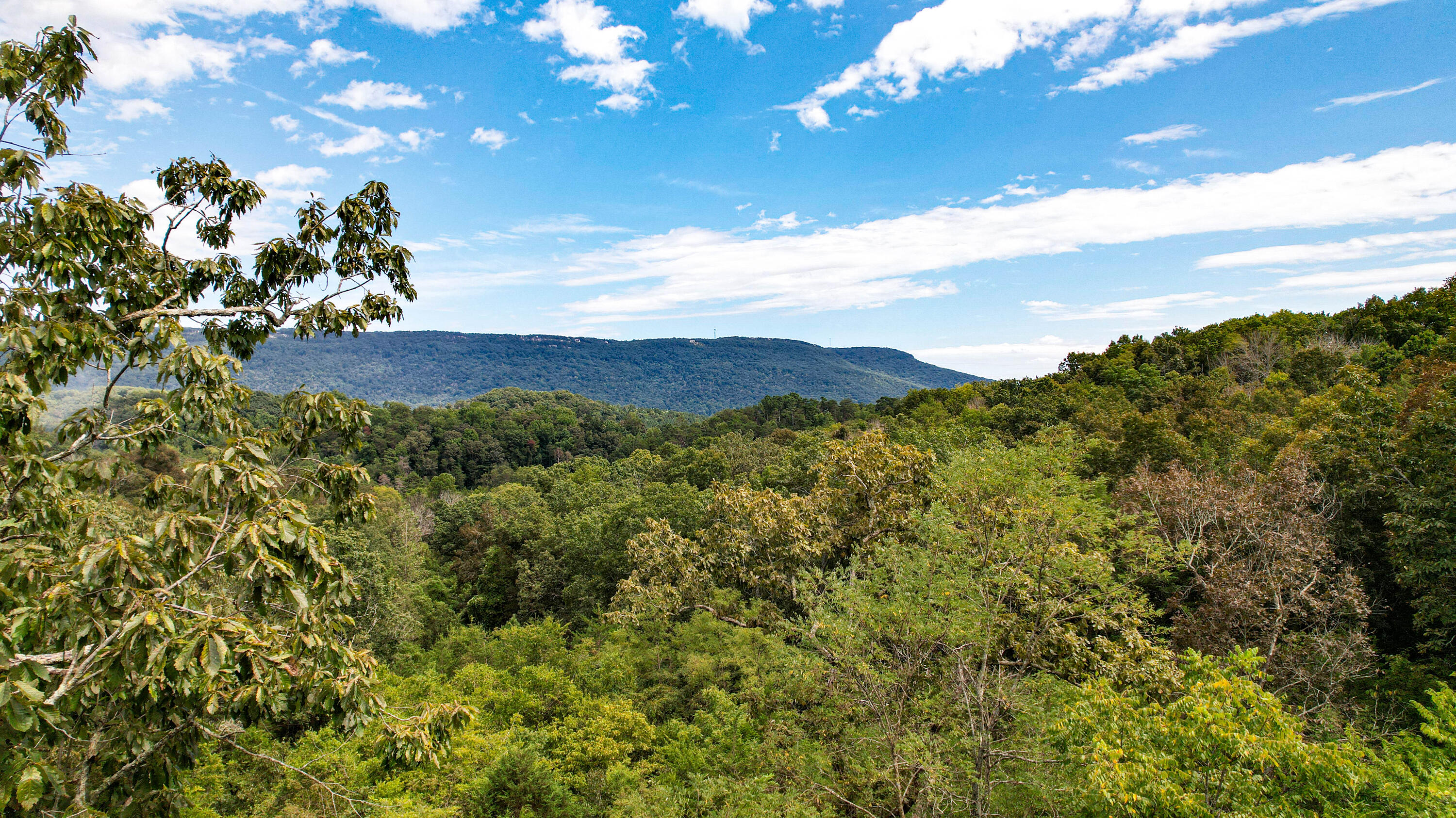25.09 Byrds Chapel Drive Rising Fawn, GA 30738 - Photo 4 of 21 DJI_0438