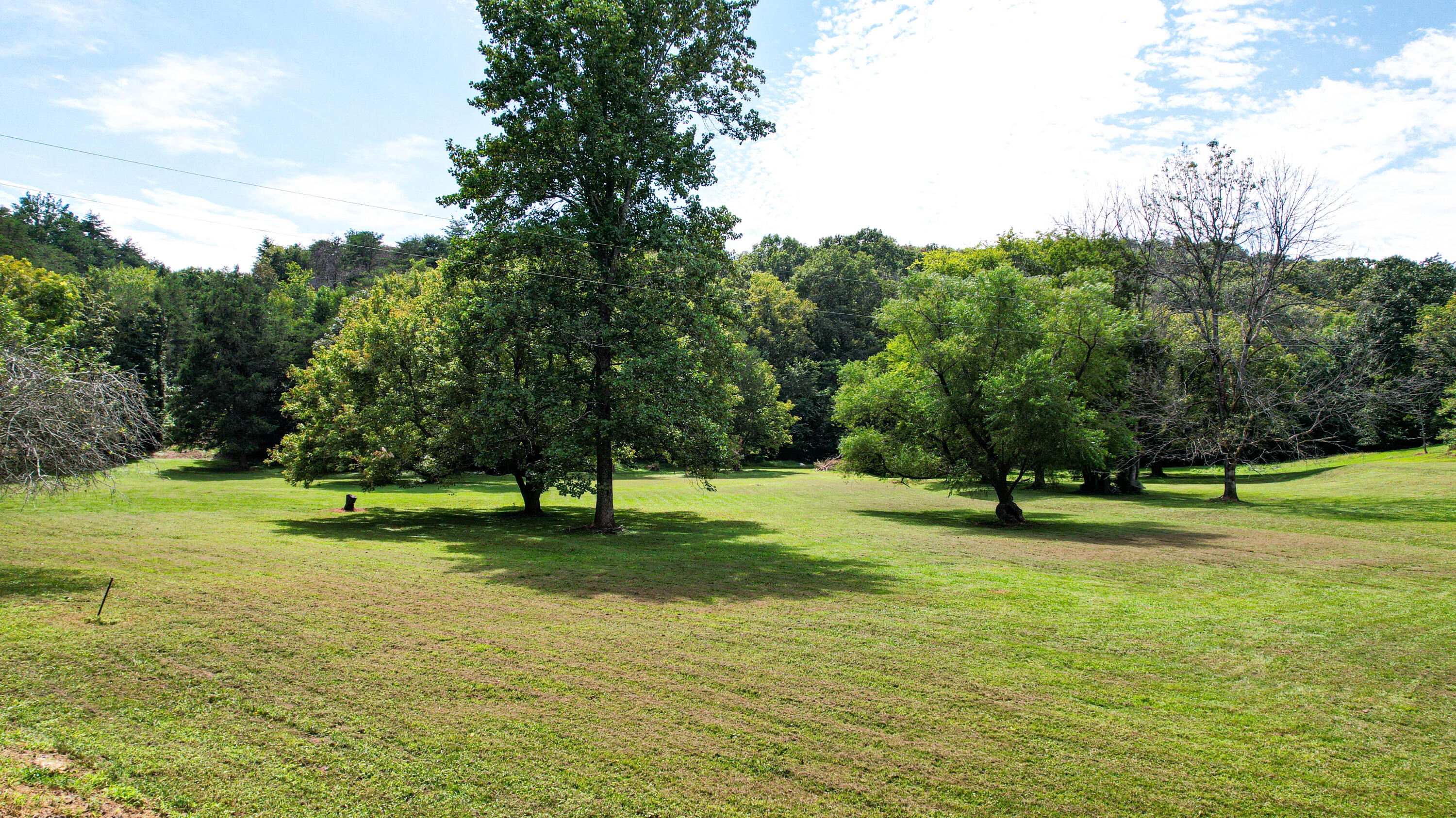 25.09 Byrds Chapel Drive Rising Fawn, GA 30738 - Photo 5 of 21 DJI_0417