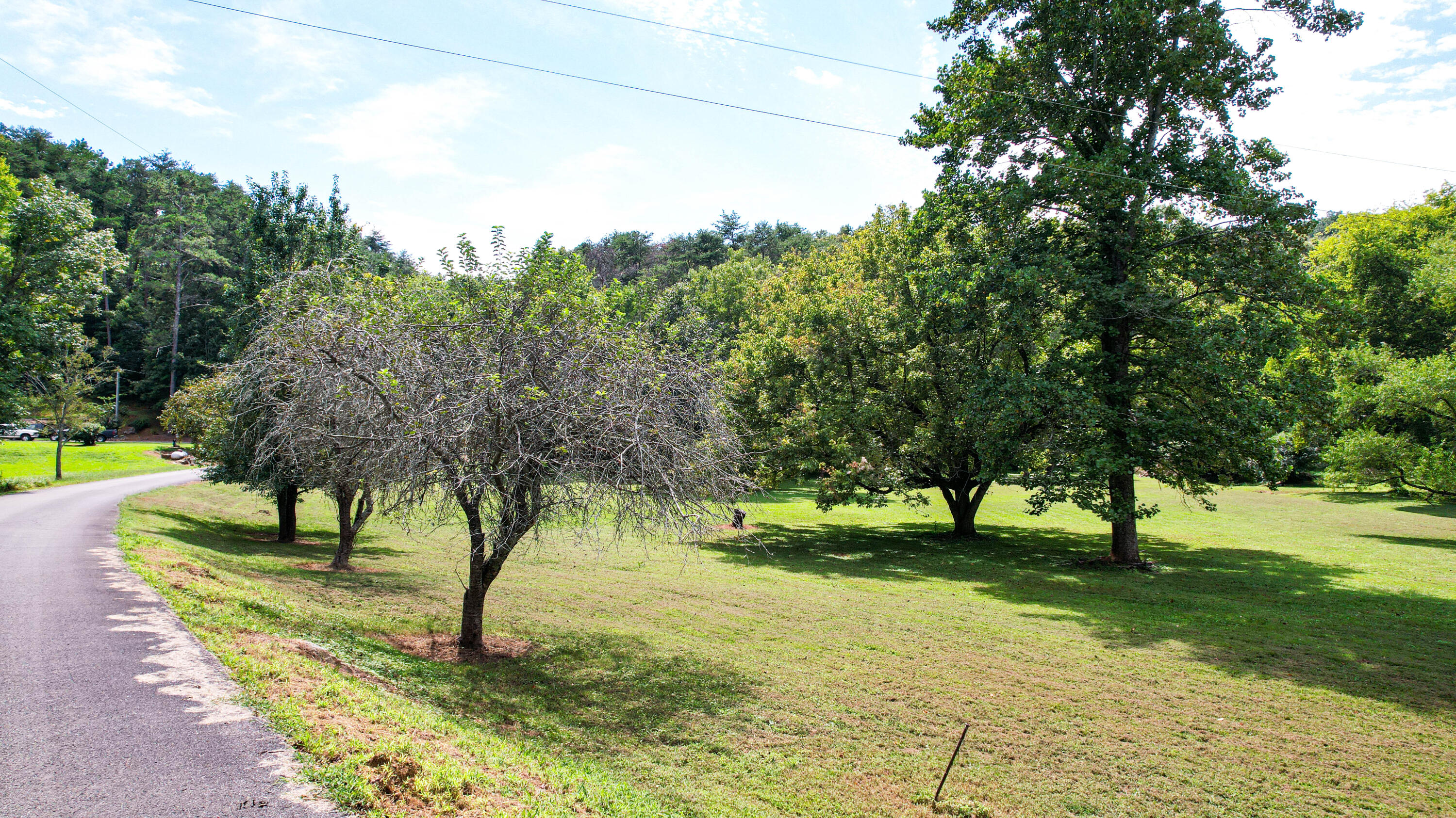 25.09 Byrds Chapel Drive Rising Fawn, GA 30738 - Photo 6 of 21 DJI_0418