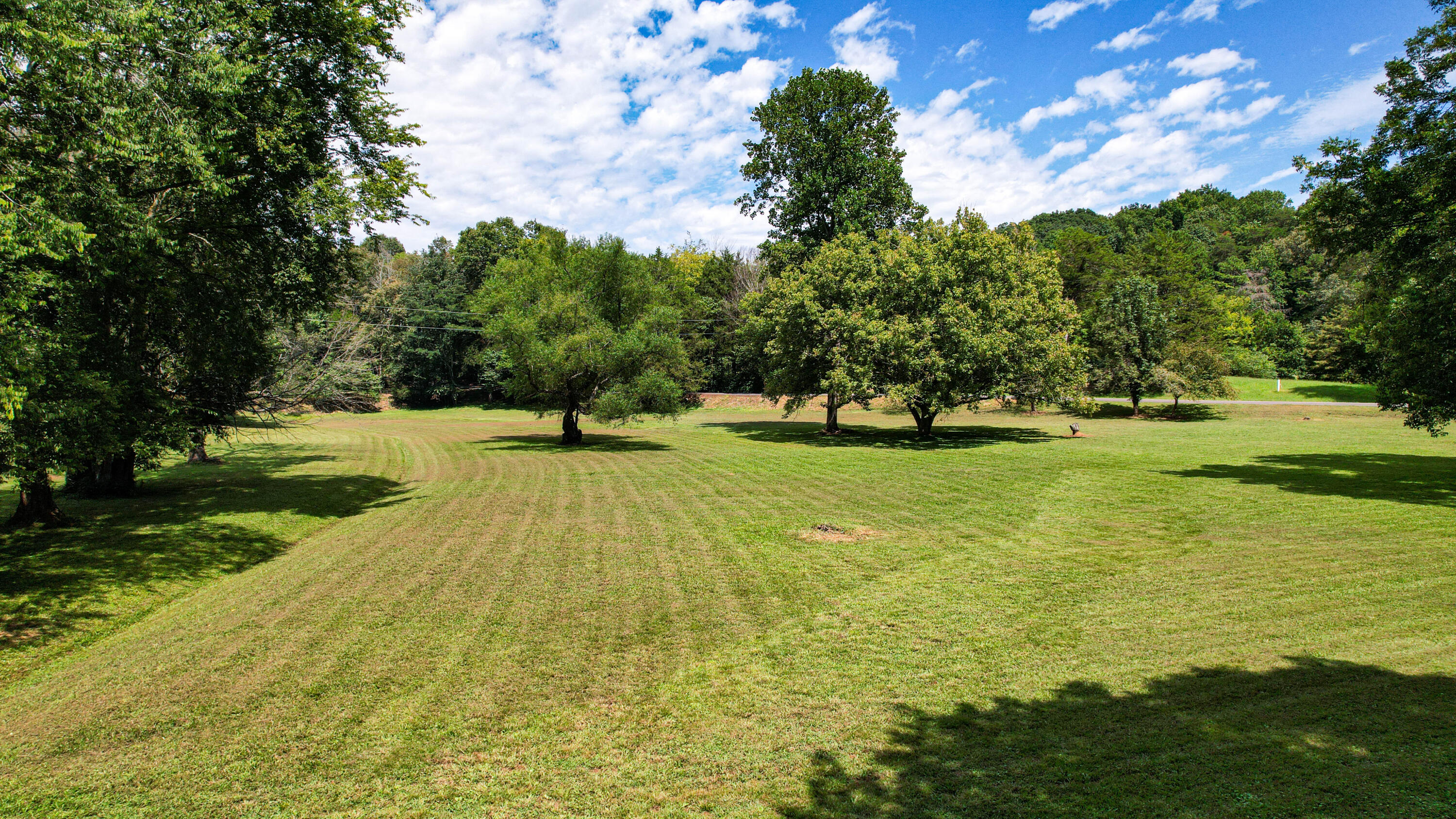 25.09 Byrds Chapel Drive Rising Fawn, GA 30738 - Photo 10 of 21 DJI_0422