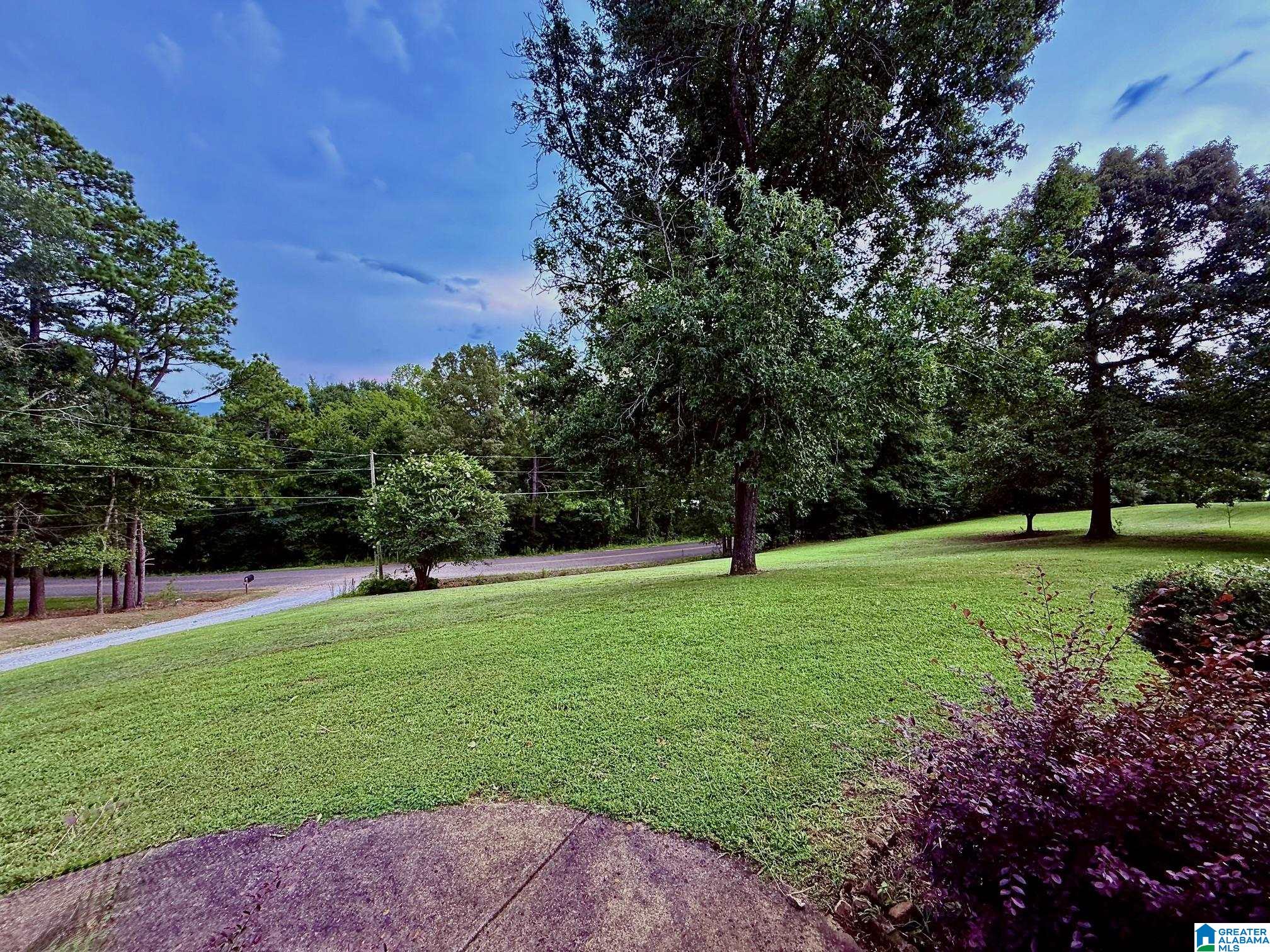 785 Shady Grove Road Piedmont, AL 36272 - Photo 63 of 70