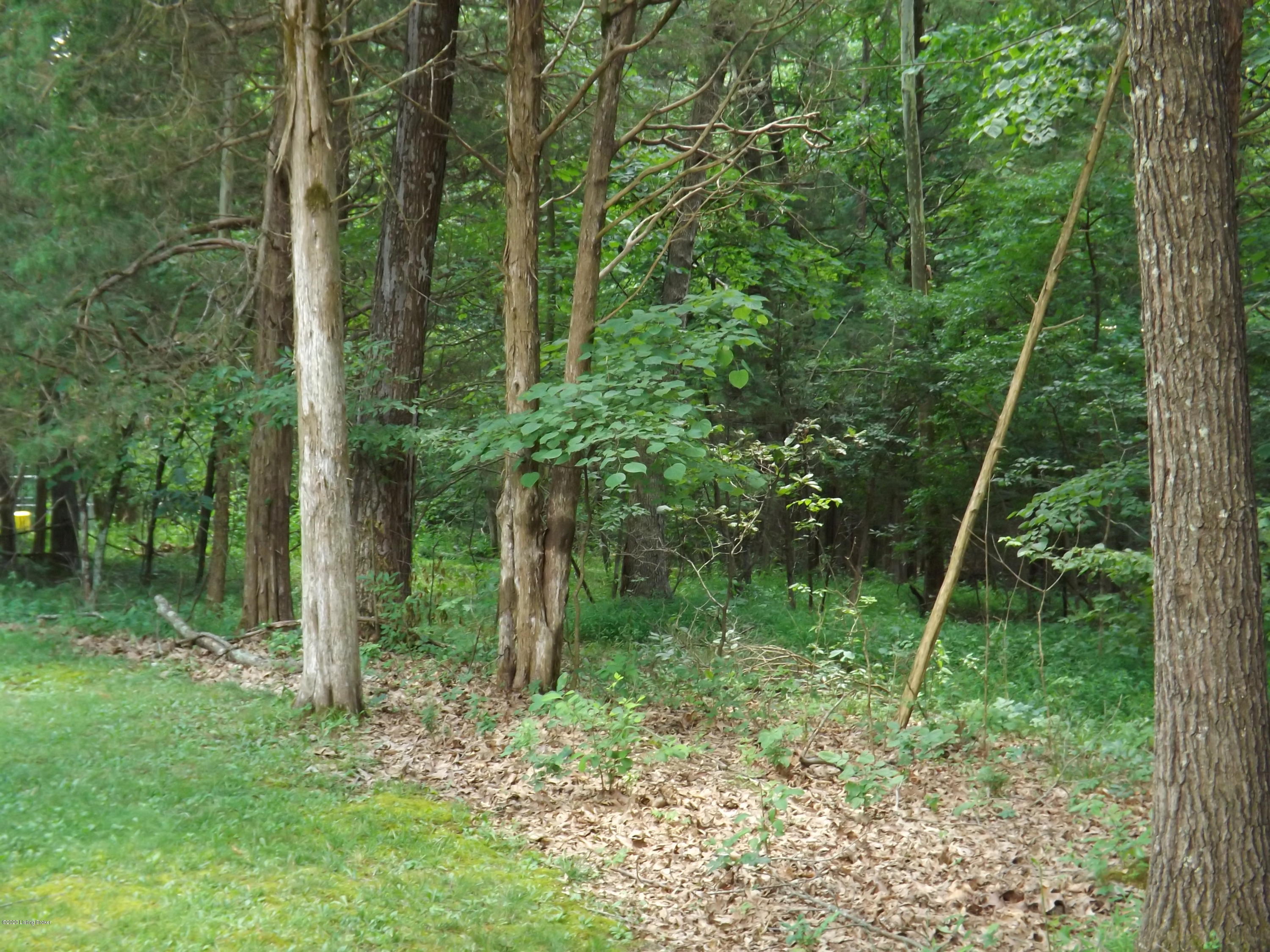 440 Redwing Road Brandenburg, KY 40108 - Photo 8 of 54 DSCF7139