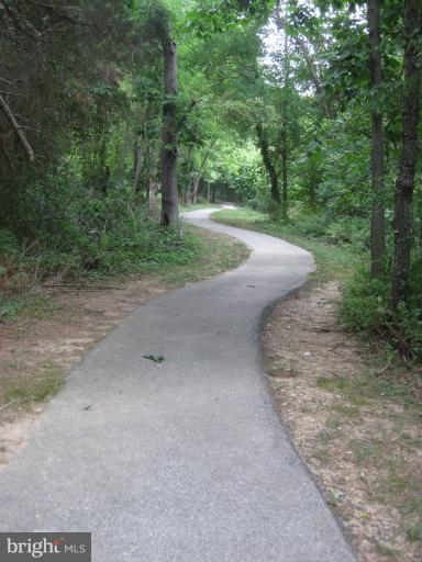 7375 Kindler Road Columbia, MD 21046 - Photo 15 of 27 a view of a dry yard with trees in the background