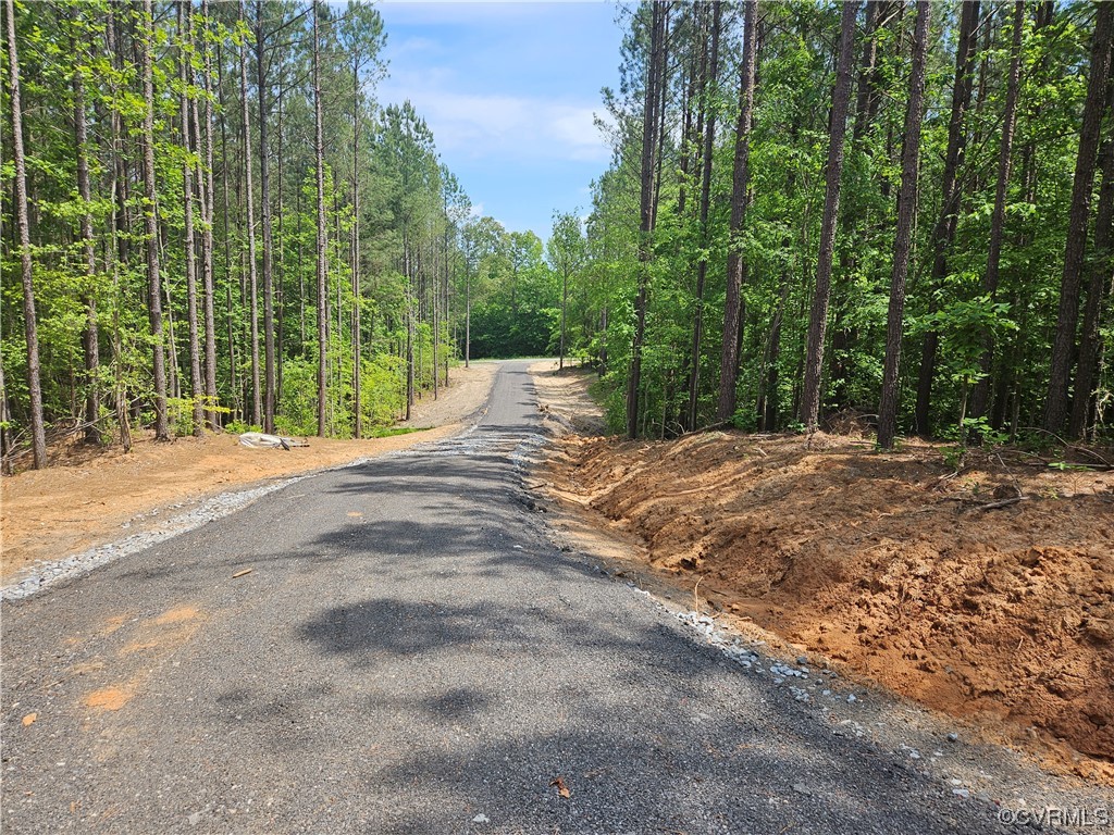 11 East Courthouse Road Blackstone, VA 23824 - Photo 8 of 13 Gallery Image 8