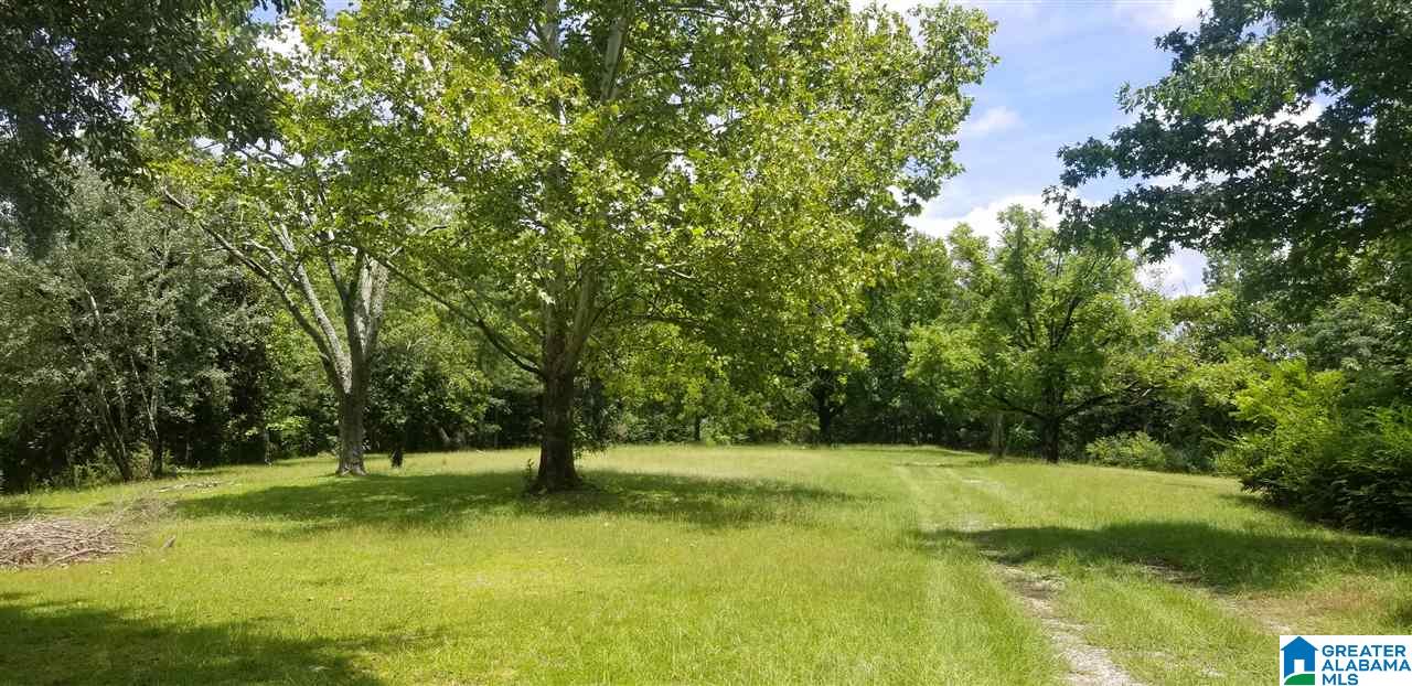 173 Beagle Club Road, Unit 1 2 Empire, AL 35063 - Photo 9 of 20
