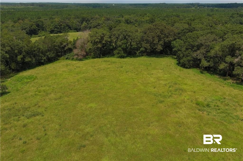 0 Circle R Farm Drive Florala, AL 36442 - Photo 18 of 25