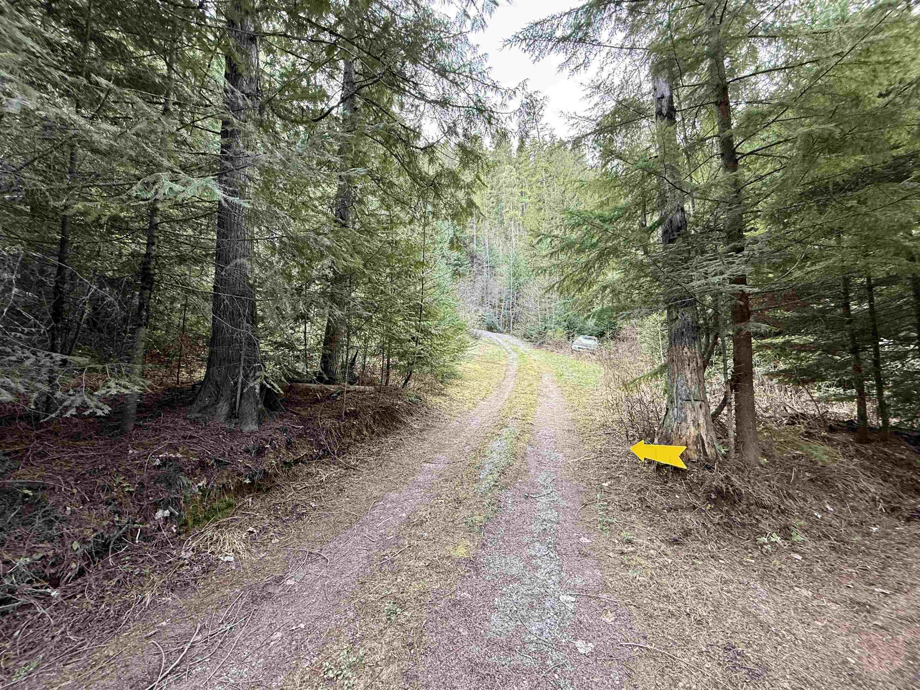 1264 McCloud Creek Road Newport, WA 99156 - Photo 32 of 33
