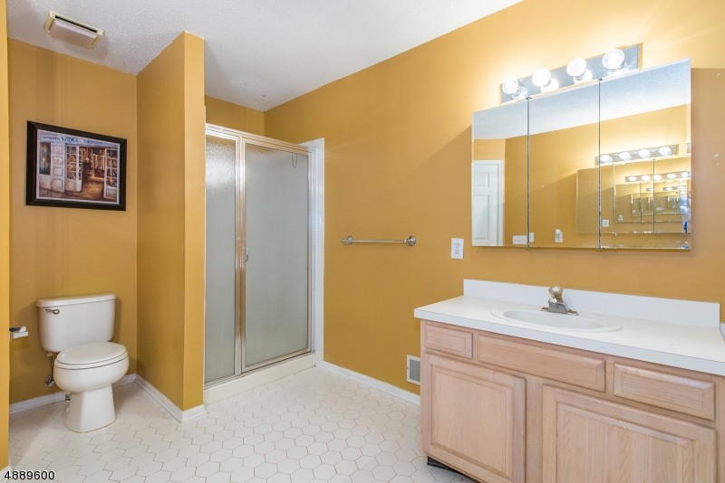 25 Buckingham Court Randolph, NJ 07869 - Photo 14 of 20 a bathroom with a sink a toilet and shower