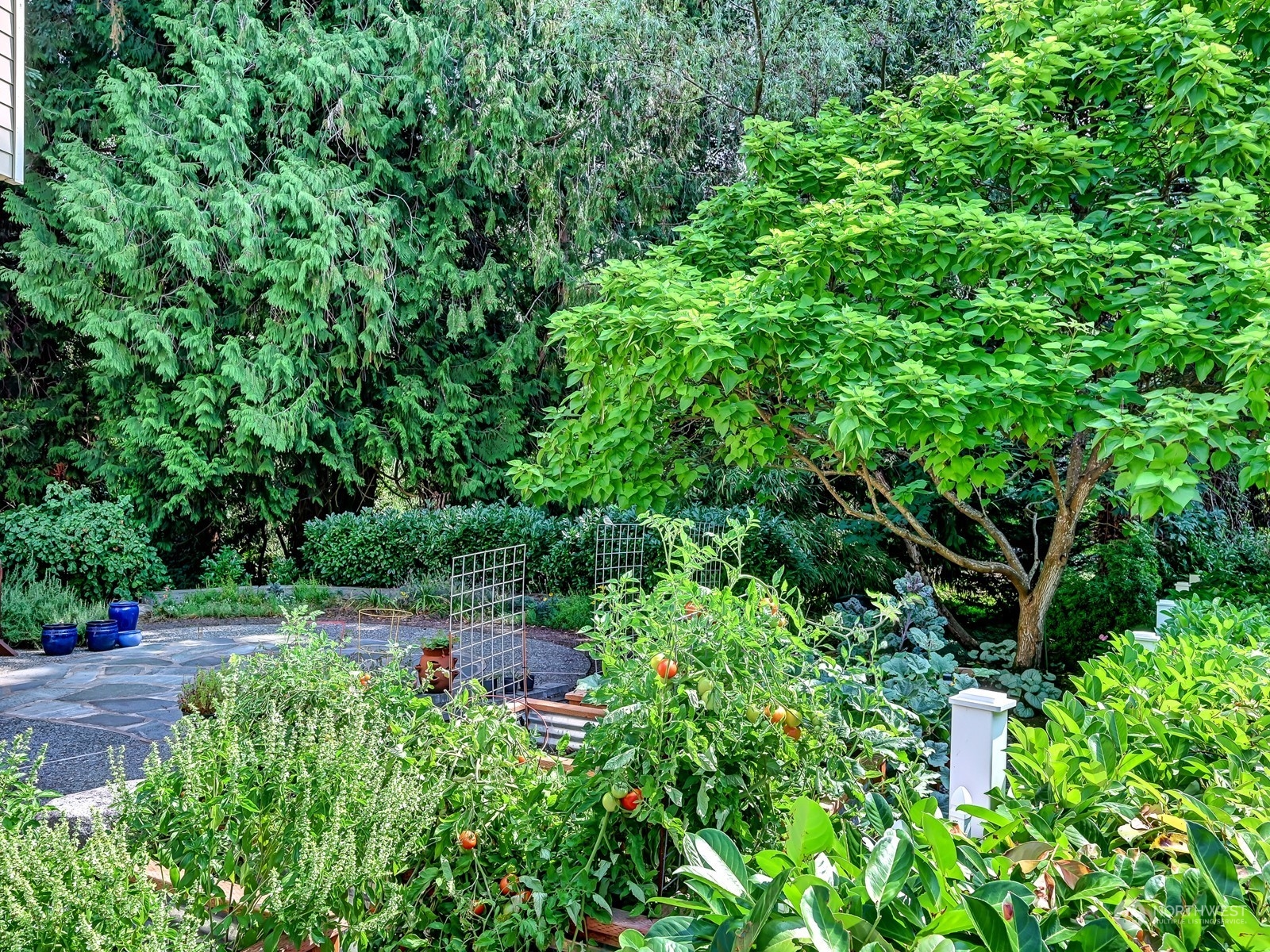 23927 30th Drive Southeast Bothell, WA 98021 - Photo 29 of 32 a backyard of a house with lots of green space