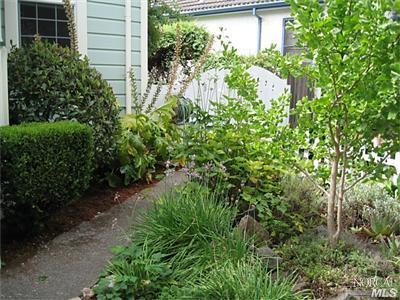 310 West 8th Street Santa Rosa, CA 95401 - Photo 3 of 12 Professionally landscaped English-style gardens welcome you to this home. New automatic sprinkler and drip system is installed in front and year gardens.