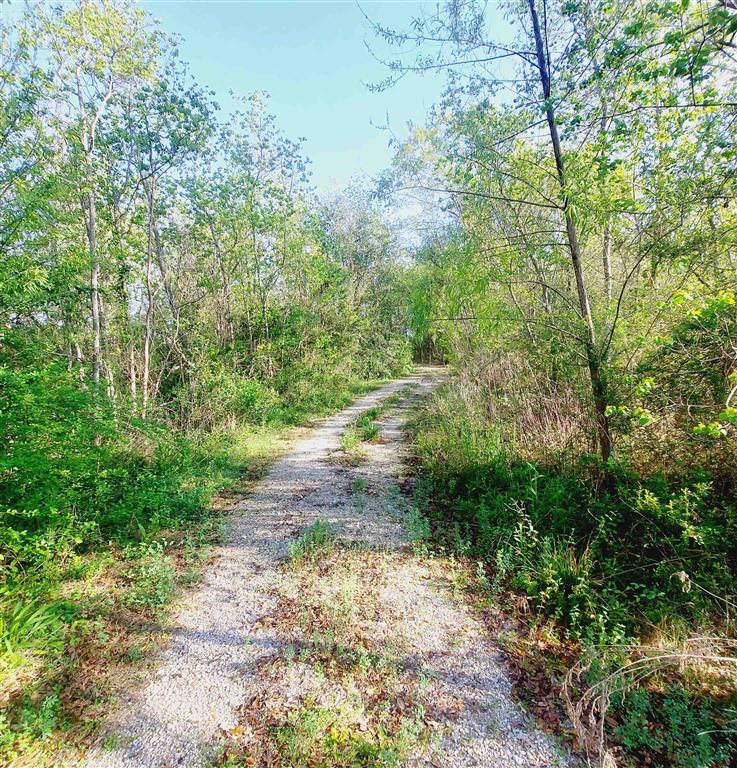 586 Big Pasture Road Lake Charles, LA 70607 - Photo 1 of 8 Gallery Image 1