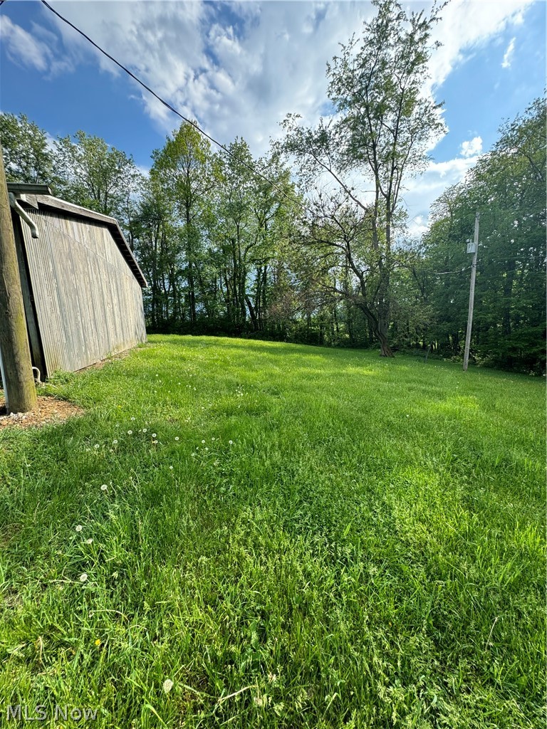 72260 Colerain Road Bridgeport, OH 43912 - Photo 7 of 19 View of yard