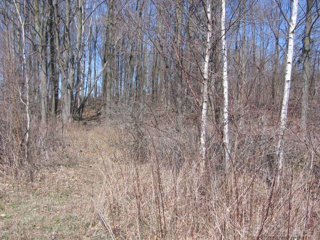 Vl Townsend Applegate, MI 48401 - Photo 22 of 31