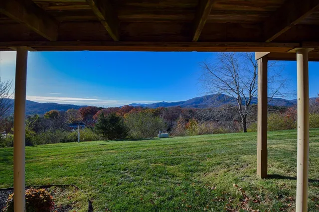 a view of a lush green outdoor space with a lake view