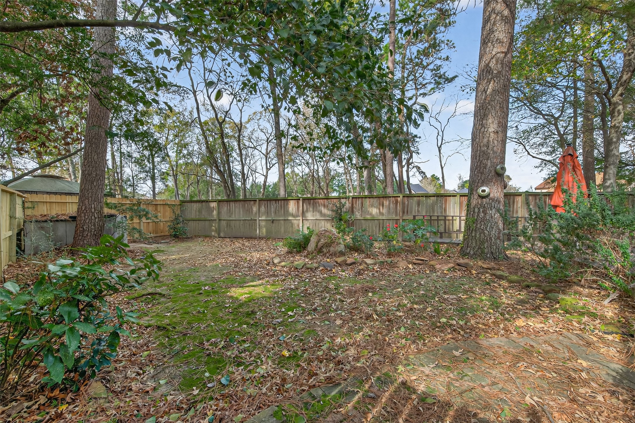 19331 Timber Tree Court Humble, TX 77346 - Photo 3 of 43 a backyard of a house with lots of green space