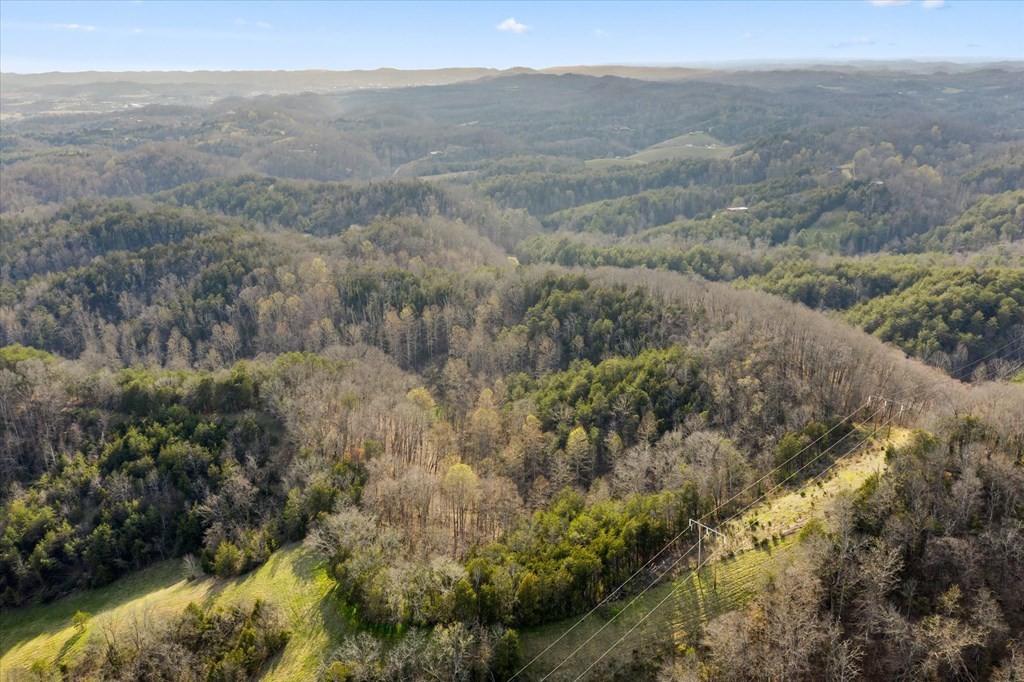 0 Lane Hollow Road Sevierville, TN 37876 - Photo 4 of 7