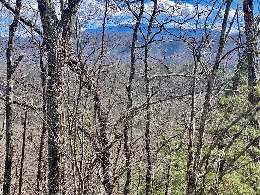 1749 Pinestand Rdg Way Sevierville, TN 37862 - Photo 2 of 5