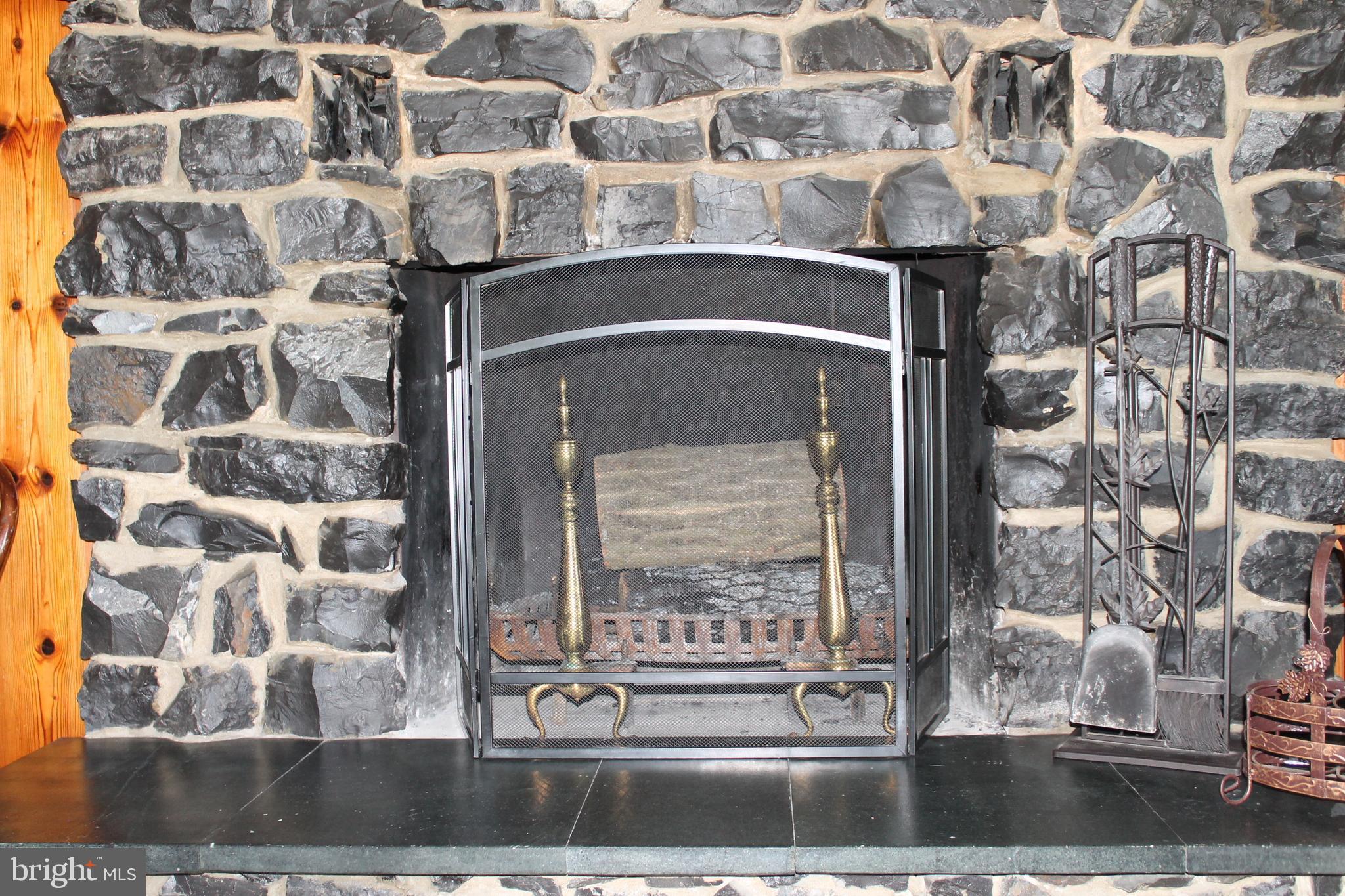 1615 Pleasant View Road Mount Jackson, VA 22842 - Photo 94 of 131 Stone Fireplace