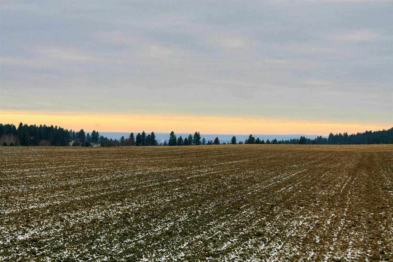 7615 North Jensen Road Spokane, WA 99217 - Photo 8 of 11