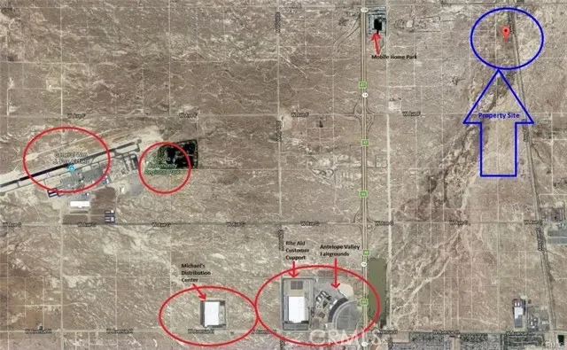 a view of a dry yard