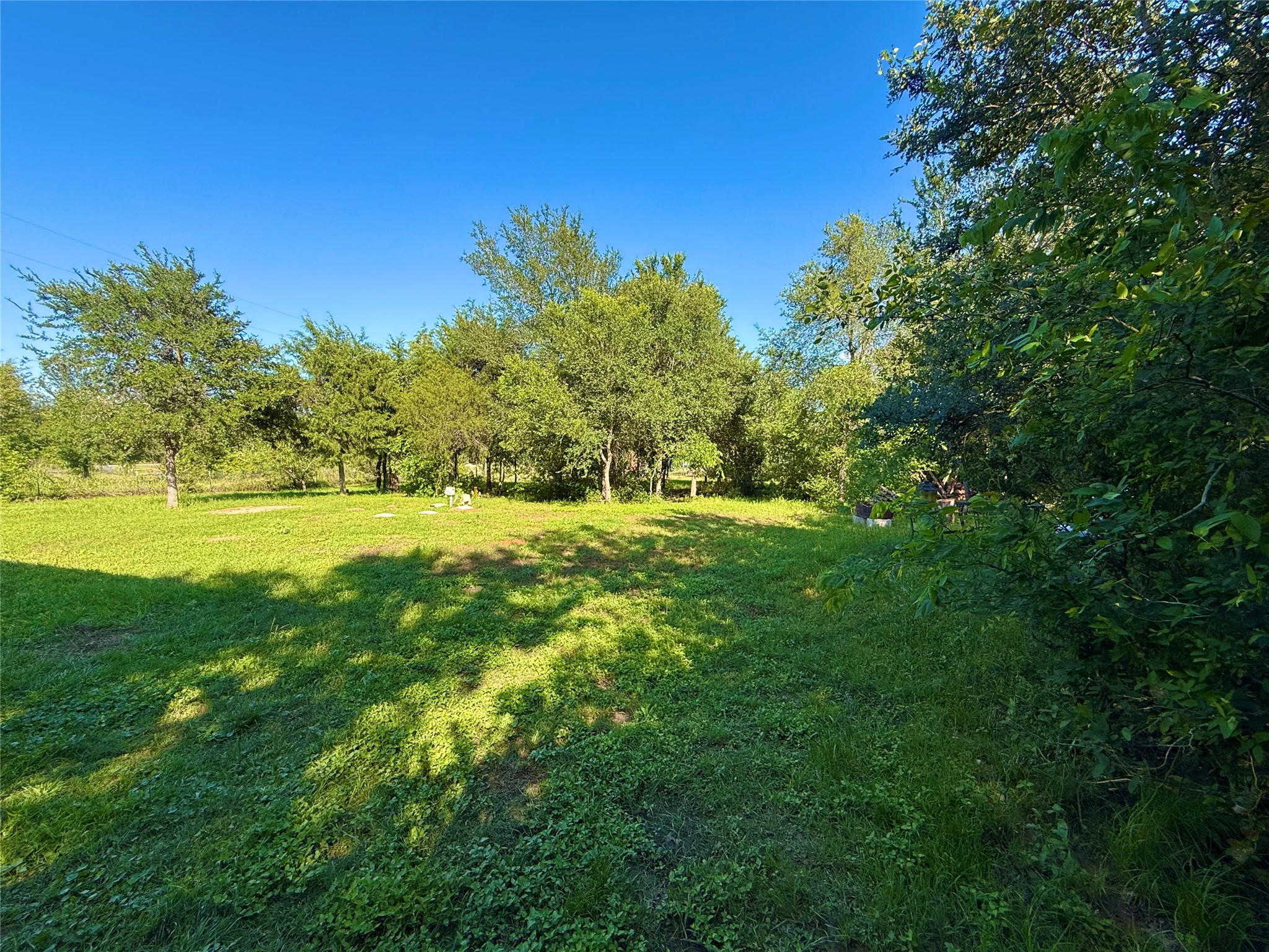 739 Pleasant Grove Road Elgin, TX 78621 - Photo 29 of 29 Expansive grounds featuring mature trees and established greenery