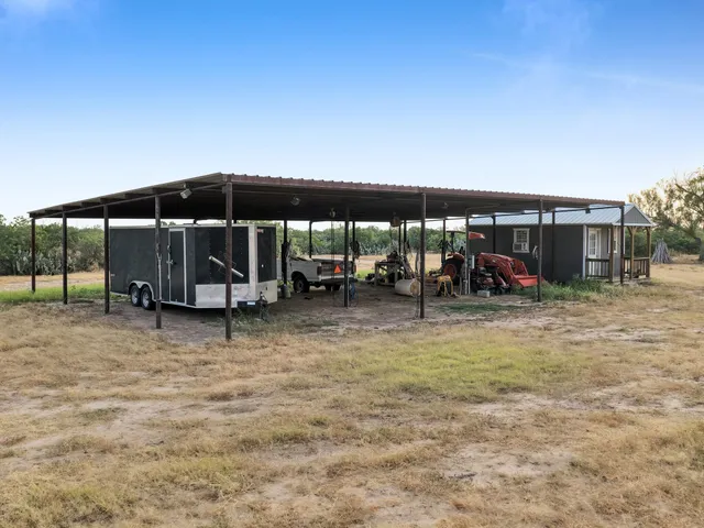 a close up of a tree in a yard