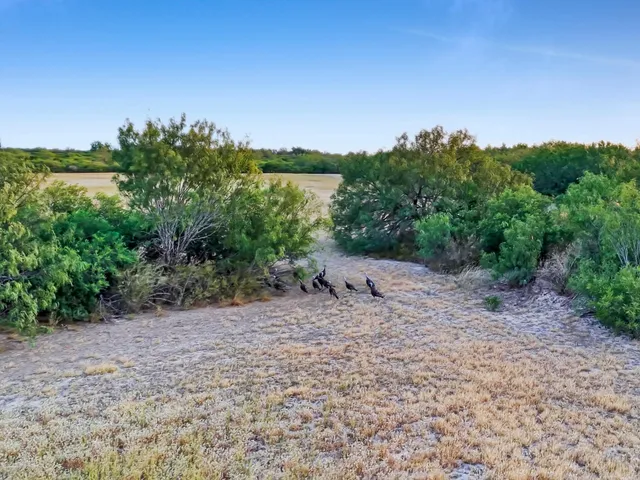 an aerial view of a residential houses covered in trees