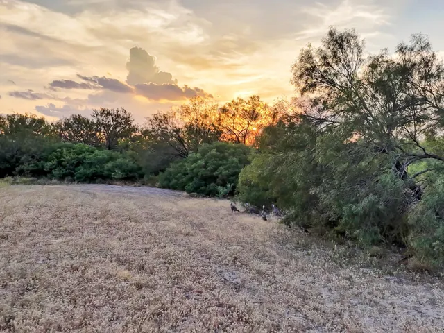 $2,795,000 | 1986 La Pryor Tx 78872, La Pryor, TX 78872