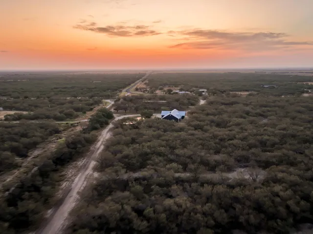 an aerial view of houses covered in trees