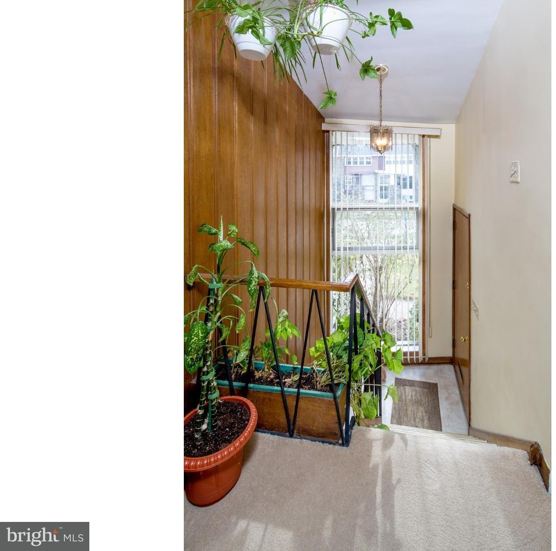 3773 Lankenau Road Philadelphia, PA 19131 - Photo 3 of 17 Gallery Image 3