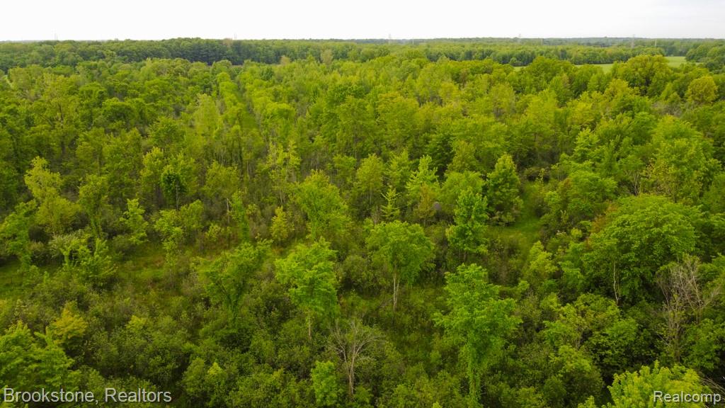 30 30 Mile Road New Haven, MI 48050 - Photo 15 of 17