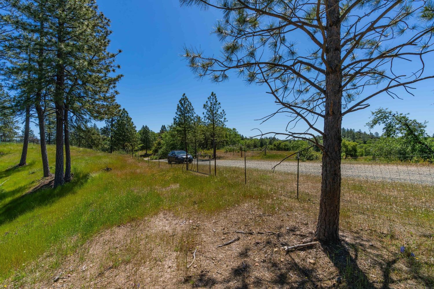 12377 Twin Pines Road Sutter Creek, CA 95685 - Photo 3 of 57 Gallery Image 3