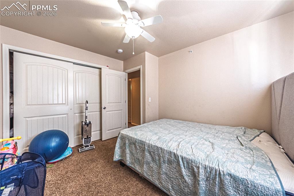 3054 Harpy Grove Colorado Springs, CO 80916 - Photo 24 of 29