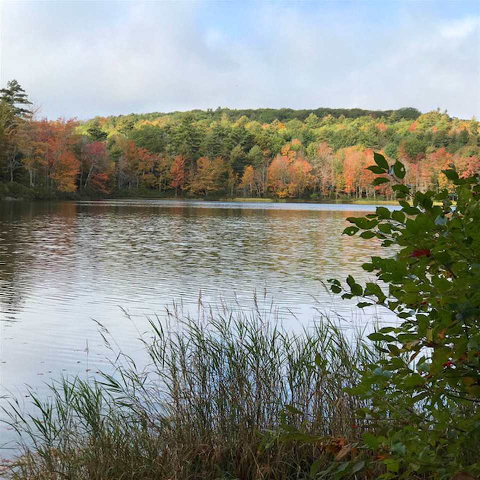 57 Newell Pond Road Alstead, NH 03602 - Photo 19 of 19