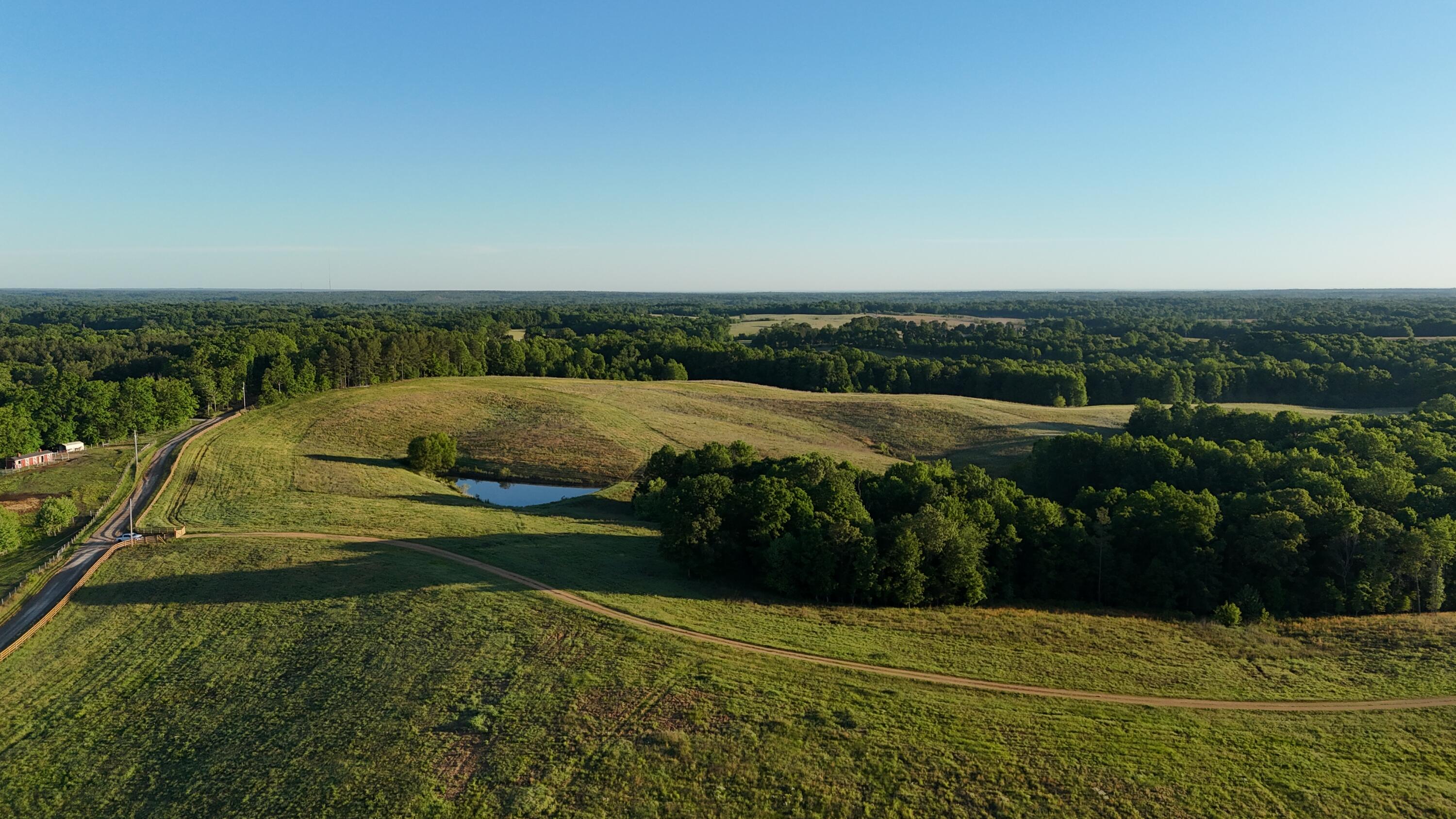 7 7 Mile Ridge Road Indian Mound, TN 37079 - Photo 16 of 24 DJI_20260508084303_0434_D