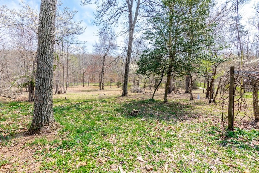 91 Dustin Road Spring City, TN 37381 - Photo 22 of 28 Gallery Image 22